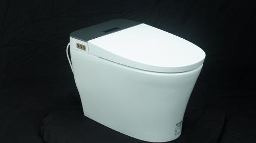 BỒN CẦU THÔNG MINH ARCA KL-05-EN